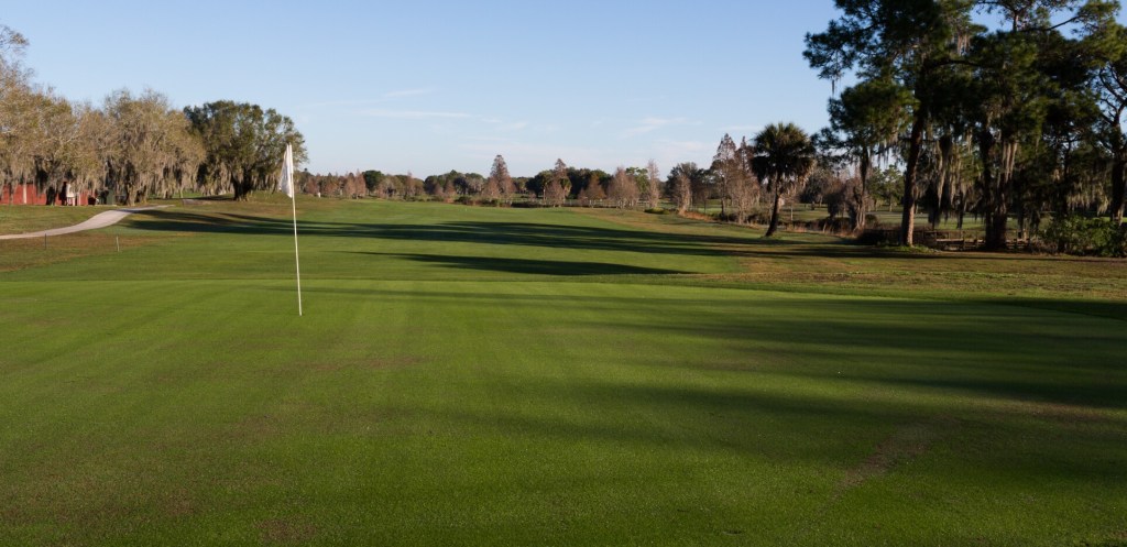 Golf course fairway lined with trees 